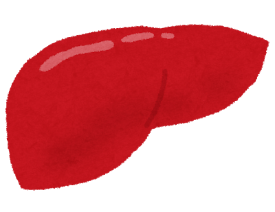 【解説】トマトジュースは肝機能改善に効果的！肝臓に与える３つの効果！