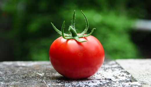 【意外】トマトの旬って”真夏”じゃなの！？トマトの性質と原産国から考えてみる